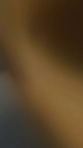 Instagram post from jaconsseg. This post is in position 1.