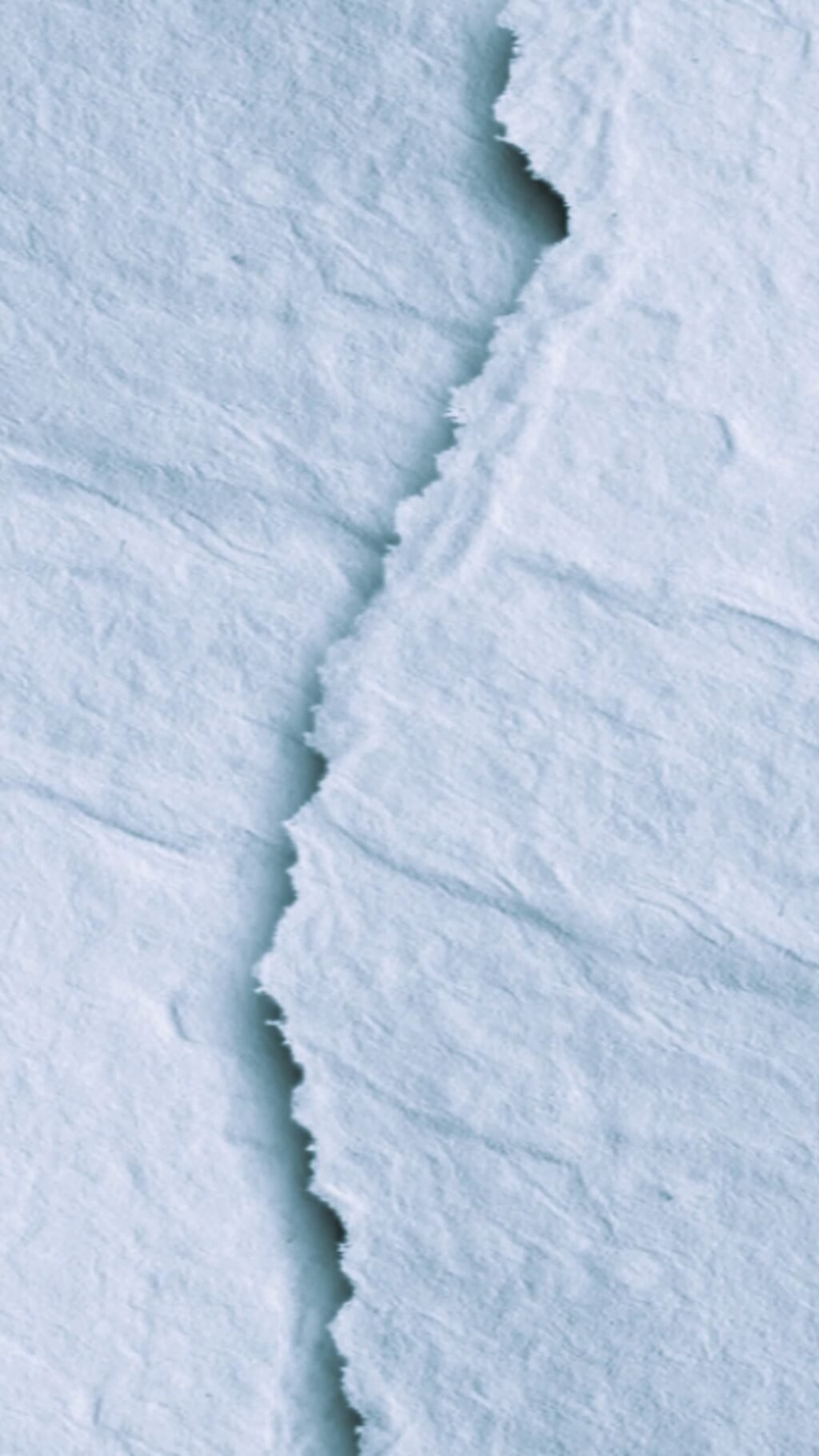 Instagram post from jaconsseg. This post is in position 1.