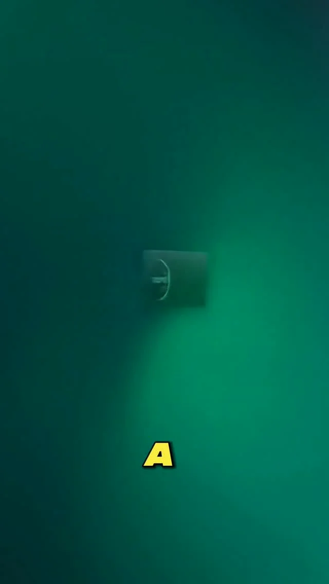 Instagram post from jaconsseg. This post is in position 1.